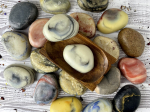 THE ARTISAN'S CLAY AND SALT STONE SOAP I