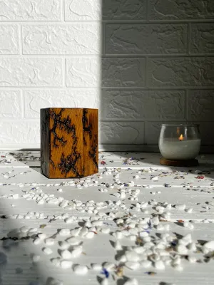 Hexagonal Lichtenberg wooden pen holder with hazelnut finish