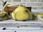THE ARTISAN'S COCONUT AND SEA BUCKTHORN STONE SOAP