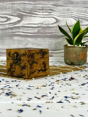 Square Lichtenberg wooden box with hazelnut finish