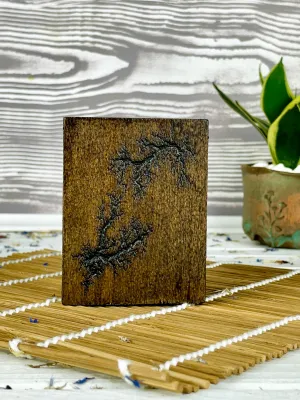 Lichtenberg wooden pen holder with wenge and hazelnut finish