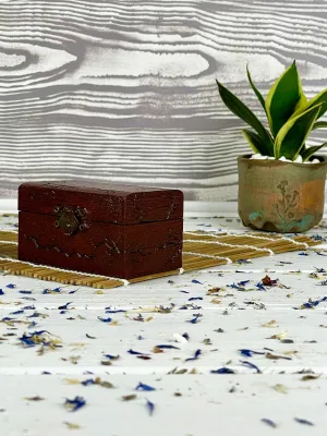 Rectangular Lichtenberg wooden box with mahogany finish