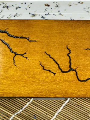 Elegant Lichtenberg wooden jewelry box