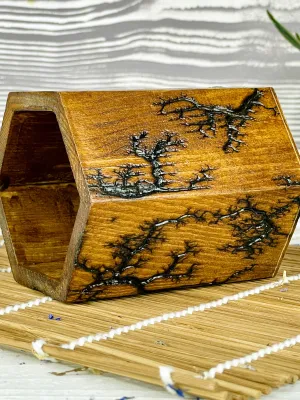 Hexagonal Lichtenberg wooden pen holder with hazelnut finish