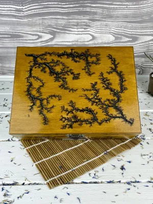 Large Lichtenberg wooden memory box with walnut finish