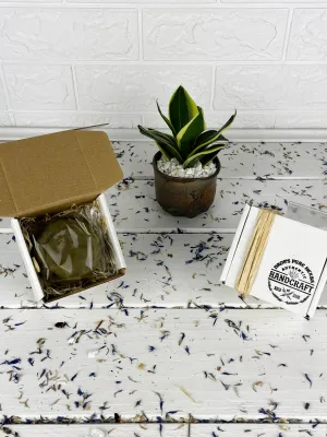 White clay, green clay & charcoal round soap