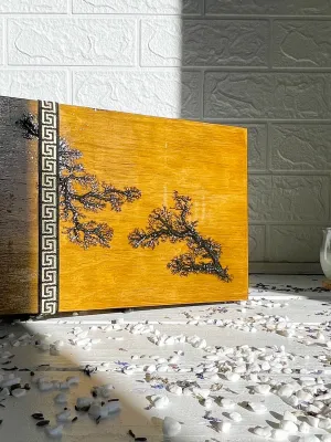 Compartmented Lichtenberg wooden jewelry box with walnut finish