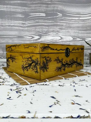 Compartmented Lichtenberg wooden jewelry box with walnut finish