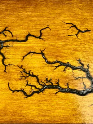 Lichtenberg wooden memory box with hazelnut and wenge finish