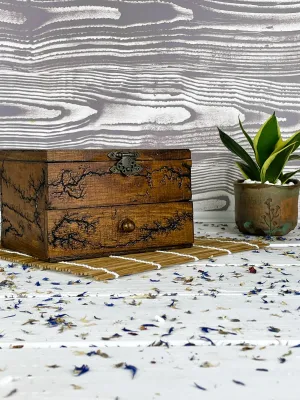 Deep Lichtenberg wooden box for rings and earrings with red oak finish