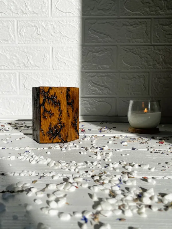 Product Hexagonal Lichtenberg wooden pen holder with hazelnut finish Image