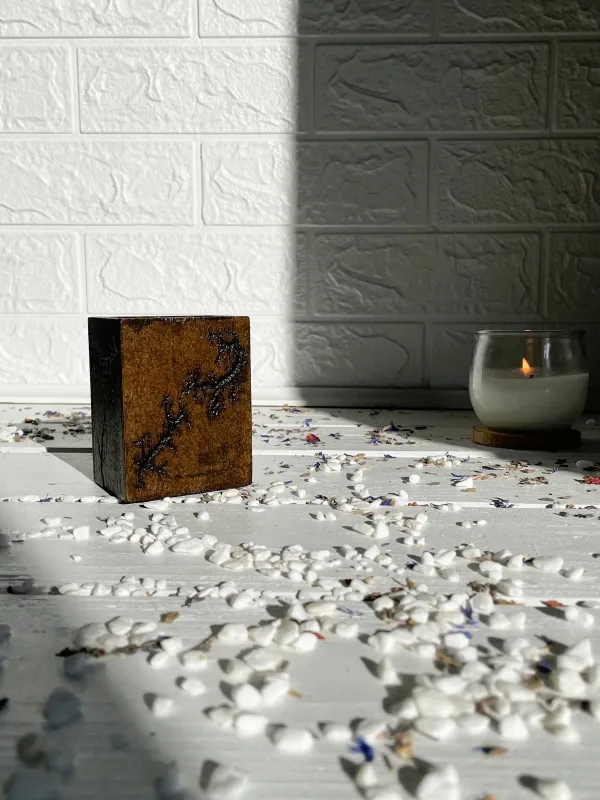 Product Lichtenberg wooden pen holder with wenge and hazelnut finish Image
