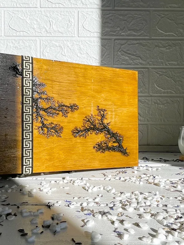 Product Compartmented Lichtenberg wooden jewelry box with walnut finish Image